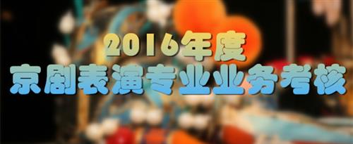 日逼玩国家京剧院2016年度京剧表演专业业务考...